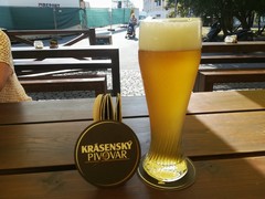 Pivo