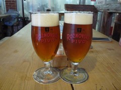 Pivo