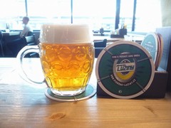 Pivo