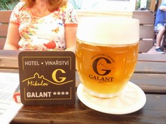Pivo