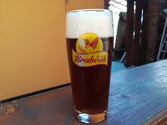 Pivo