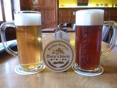 Pivo