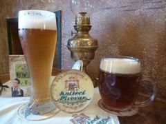 Pivo