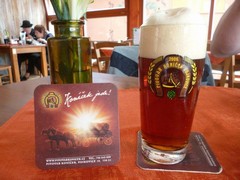 Pivo