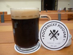 Pivo