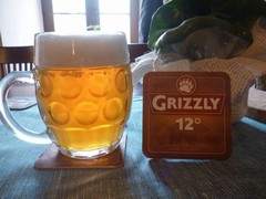 Pivo