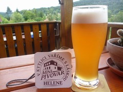 Pivo