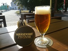 Pivo