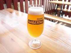 Pivo