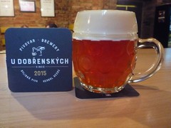 Pivo