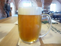 Pivo