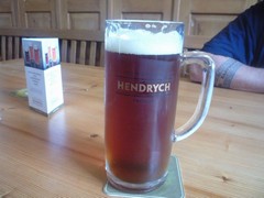 Pivo