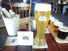Pivo