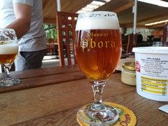 Pivo