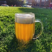 Pivo