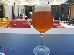 Pivo