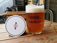 Pivo