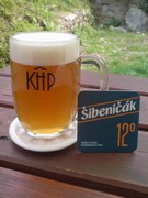 Pivo
