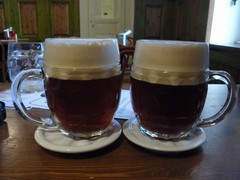 Pivo