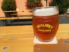 Pivo