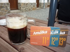 Pivo