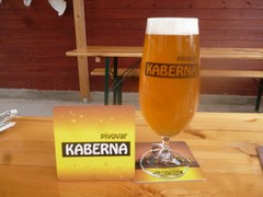 Pivo