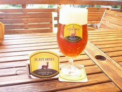 Pivo