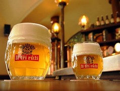 Pivo