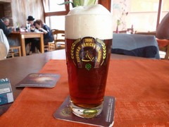Pivo