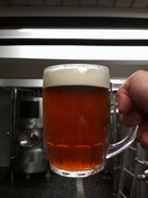 Pivo