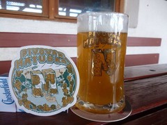 Pivo