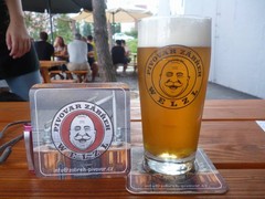 Pivo