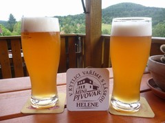 Pivo