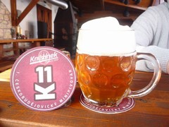 Pivo