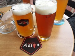 Pivo