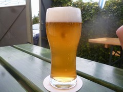 Pivo