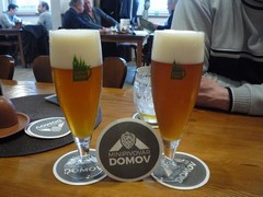 Pivo