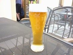 Pivo