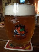 Pivo