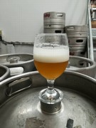 Pivo