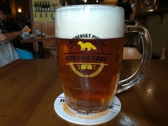 Pivo