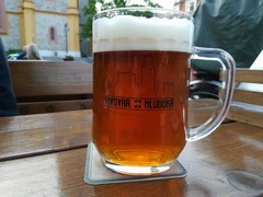 Pivo