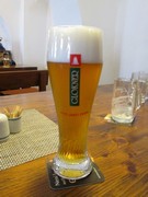 Pivo