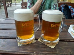 Pivo