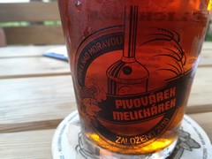 Pivo