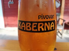 Pivo