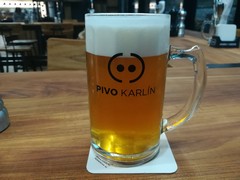 Pivo