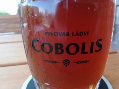 Pivo